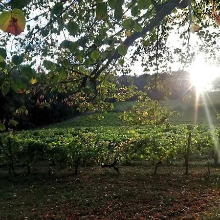 Chateau Regaldo-Saint Blancard Salleboeuf Buitenkant foto