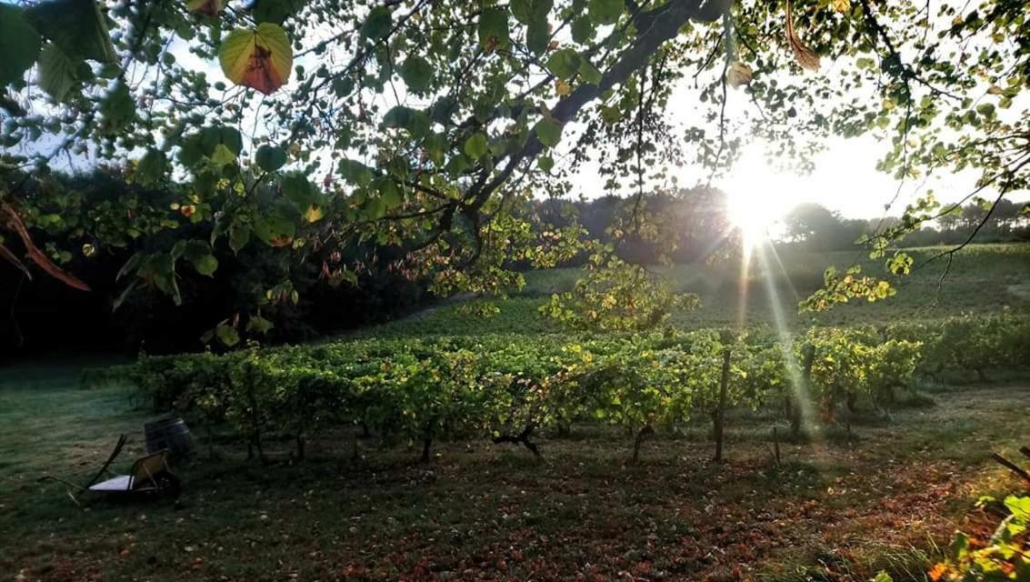 Chateau Regaldo-Saint Blancard Salleboeuf Buitenkant foto