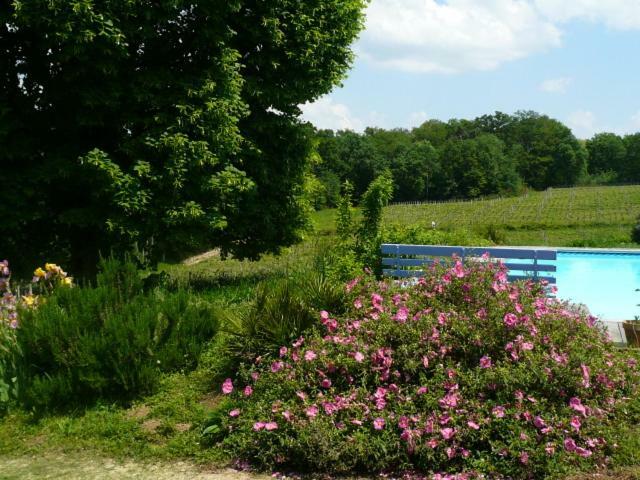 Chateau Regaldo-Saint Blancard Salleboeuf Buitenkant foto