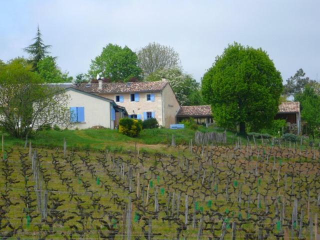 Chateau Regaldo-Saint Blancard Salleboeuf Buitenkant foto